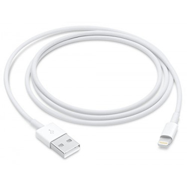 Apple Lightning to USB Cable  1 m 